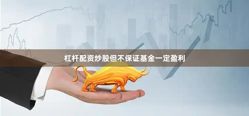 杠杆配资炒股但不保证基金一定盈利
