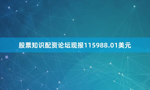 股票知识配资论坛现报115988.01美元